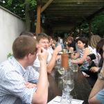 IMG_224_Medium