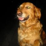 aac