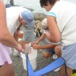 img_4754