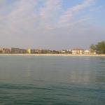 img_4781