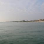 img_4782