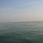 img_4798