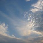 img_4867