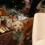 weihnachten07 016