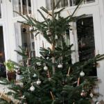 weihnachten07 094