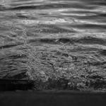 donauinsel 074