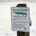 florida part2 518