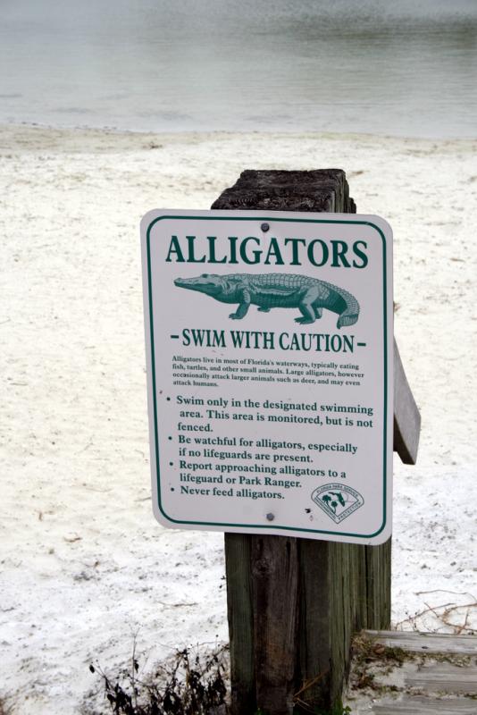 florida part2 518