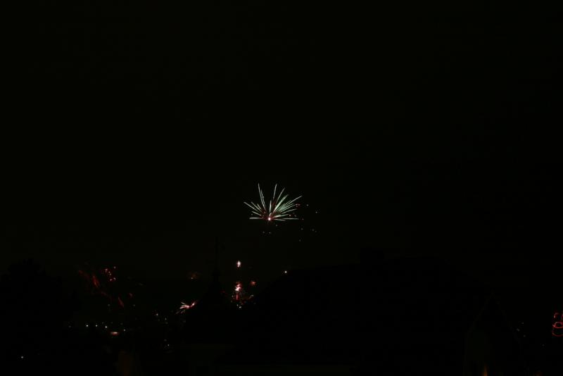 silvester08 110