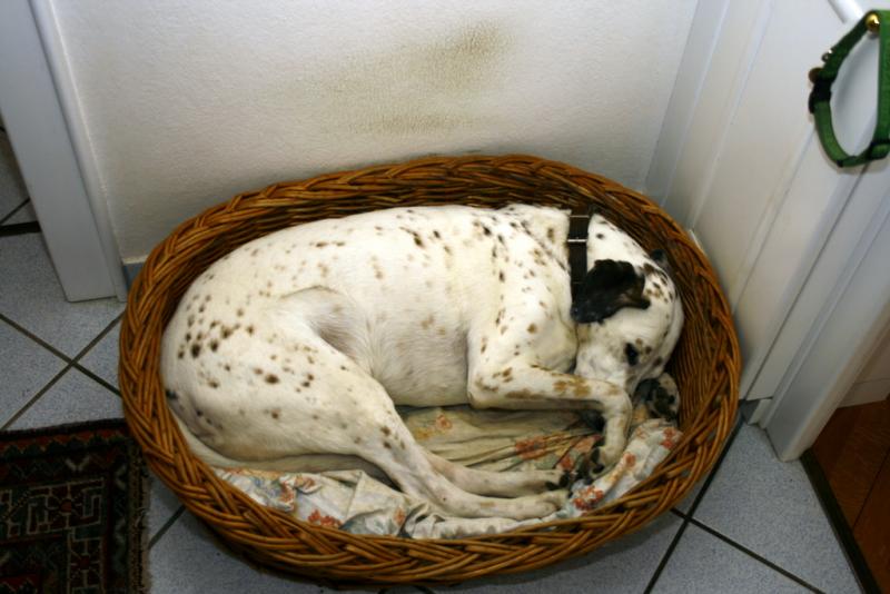 weihnachten08 086