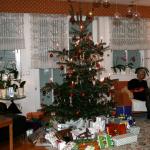weihnachten08 134
