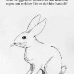 C_TEMPnsmailVF