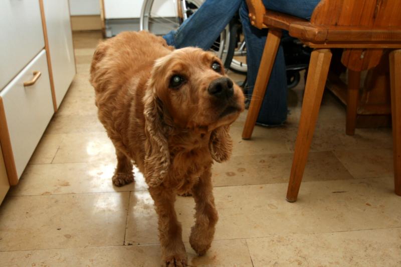 weihnachten2009 143.jpg