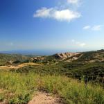 california_2010 048.jpg