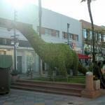 california_2010 125.jpg