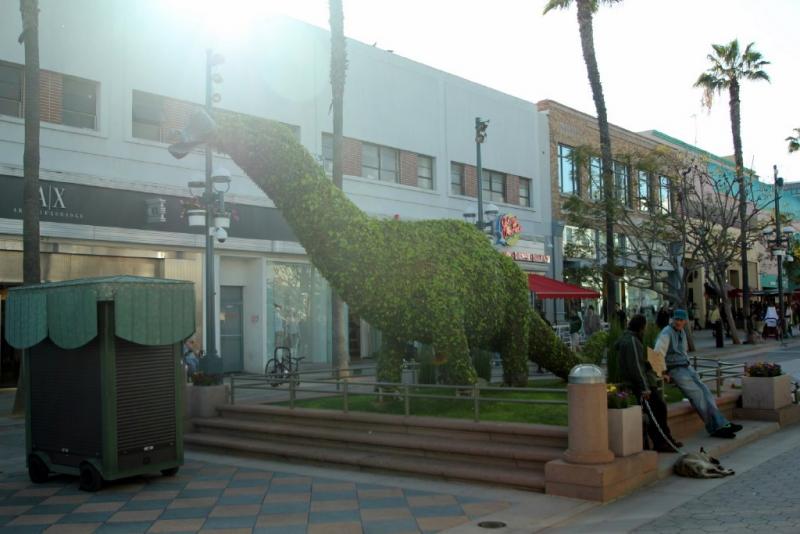 california_2010 125.jpg