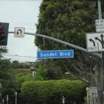 california_2010 1290.jpg
