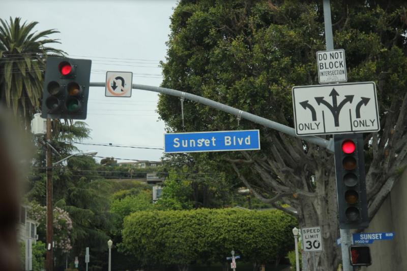 california_2010 1290.jpg