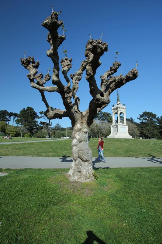 california_2010 868.jpg