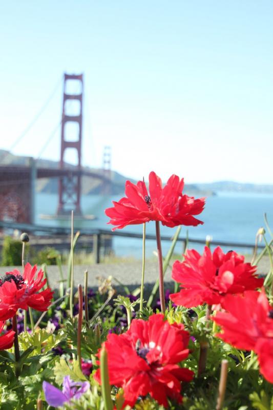 california_2010 892.jpg