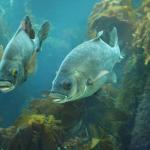 california_2010 964.jpg