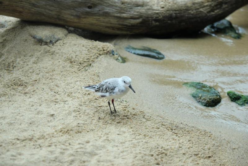 california_2010 987.jpg
