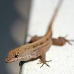 florida2010 023.jpg