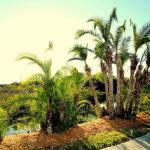 florida2010 056.jpg