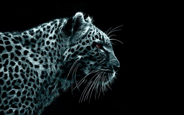 snow_leopard