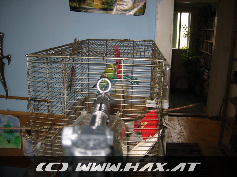 agd