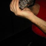abk